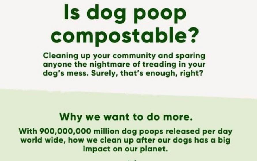 堆肥化可能な犬の糞袋